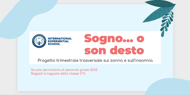Insomnia di Aurora Valli